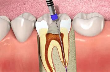 General Dentistry